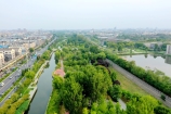 61896466.jpg